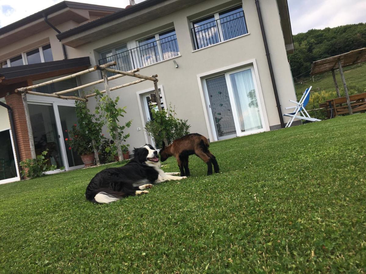 Agriturismo Fattoria Monte Baldo Vista Lago Caprino Veronese Eksteriør bilde