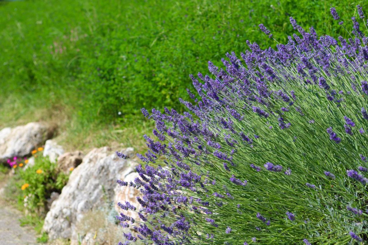 Agriturismo Fattoria Monte Baldo Vista Lago Caprino Veronese Eksteriør bilde